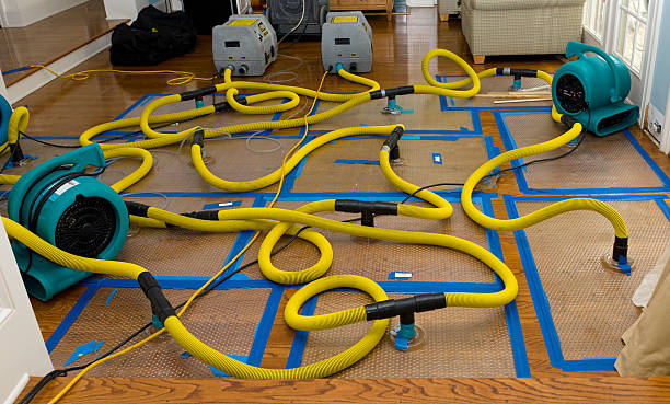 Professional Emergency Water Removal technician working in Hull, IA